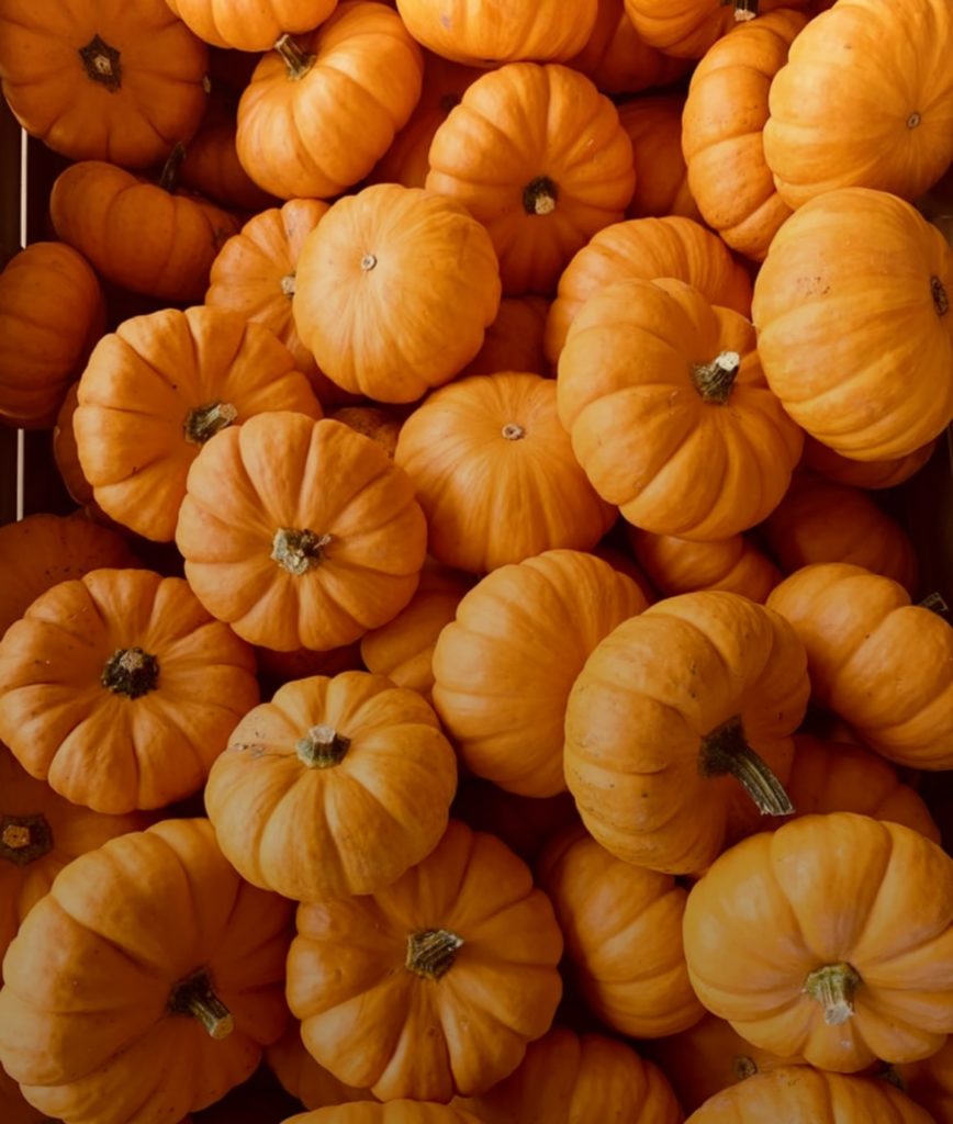 Health Benefits of Pumpkin