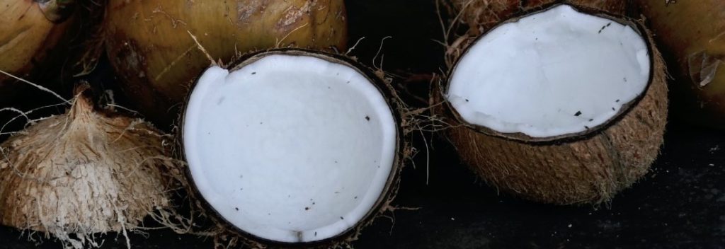 Health Benefits of Coconut