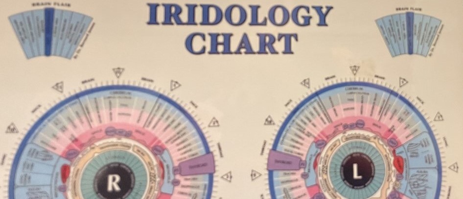 What Can I Expect From Iridology?