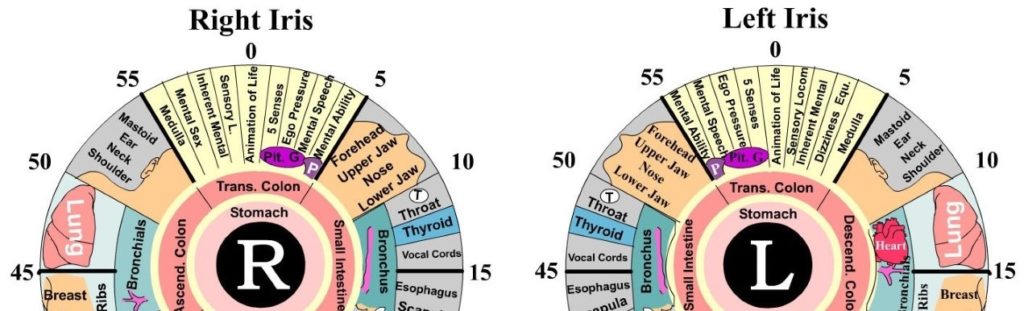 Benefits of Iridology