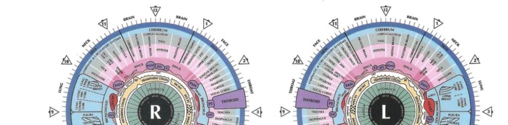 What Is An Iridology Chart?