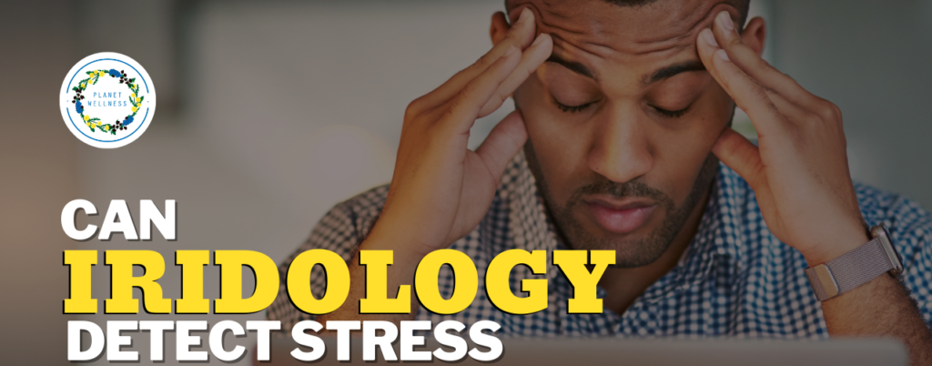 Can Iridology Detect Stress?