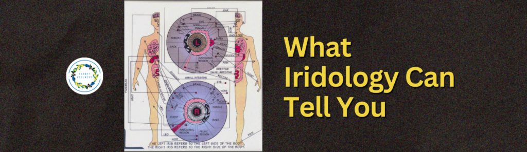 What Iridology Can Tell You