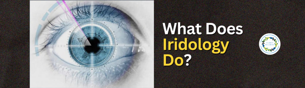 What Does Iridology Do?