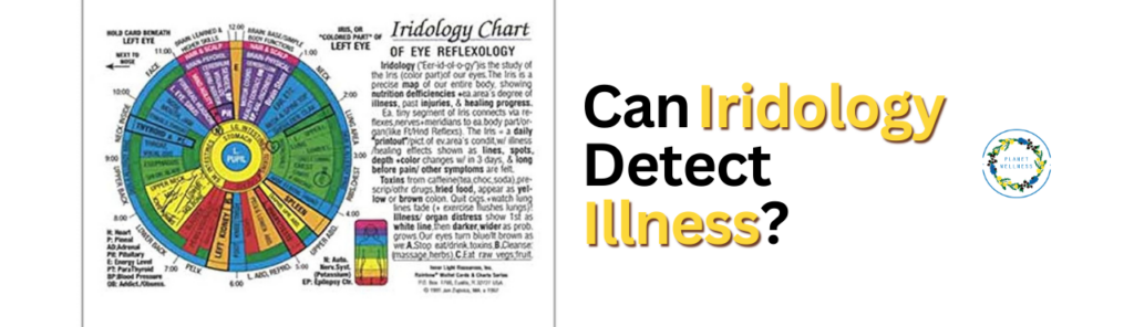 Can Iridology Detect Illness?