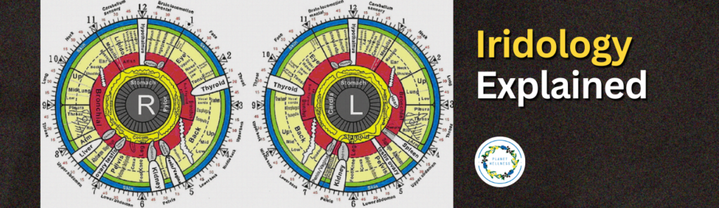 Iridology Explained