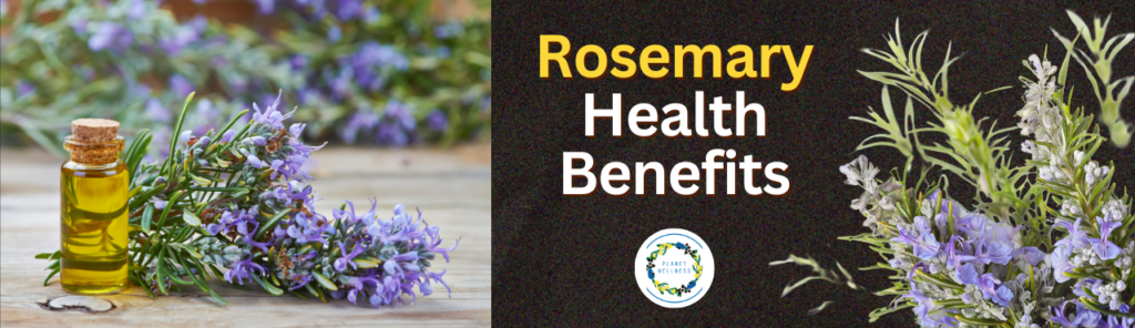 Rosemary Health Benefits