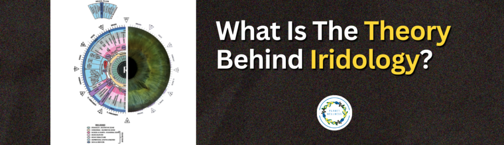 What is the theory behind Iridology?