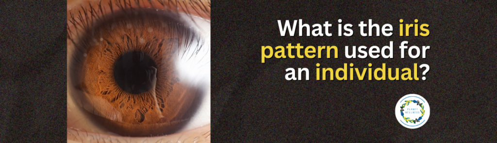 What is the iris pattern used for an individual?