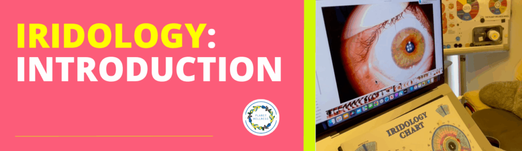 Iridology : Introduction