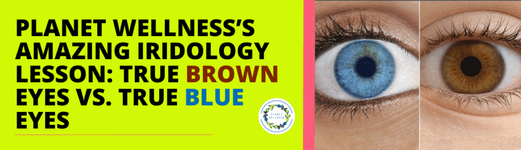 Planet Wellness Amazing Iridology Lesson