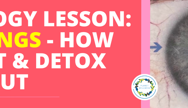 Iridology lesson – Skin rings how to spot and detox it out